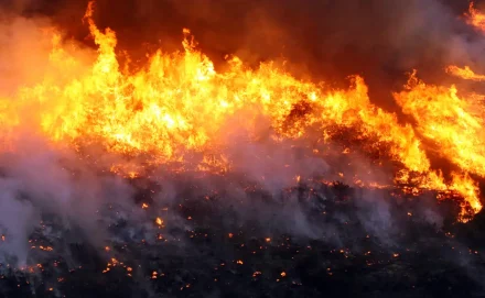 Irmãos Brant - Brigadistas combatem incêndio em Cavalcante, Goiás